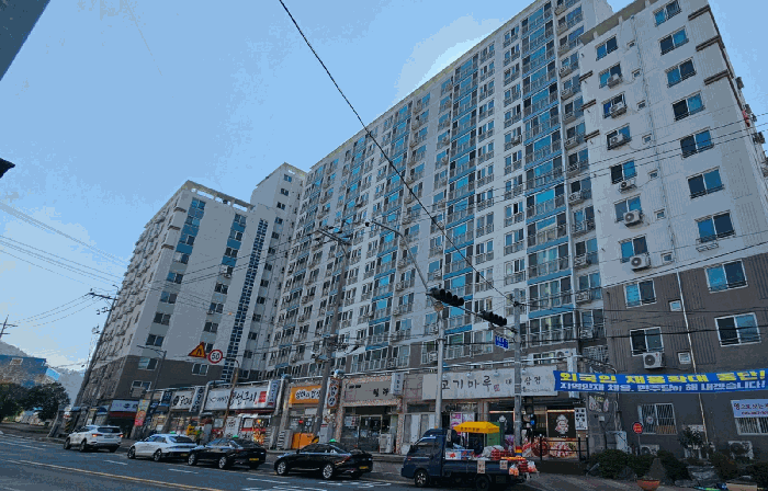 사진 11