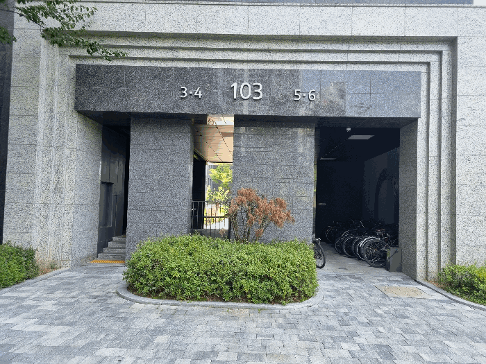 사진 10