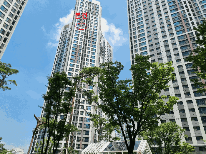 사진 7