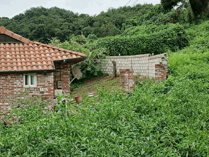 사진 1