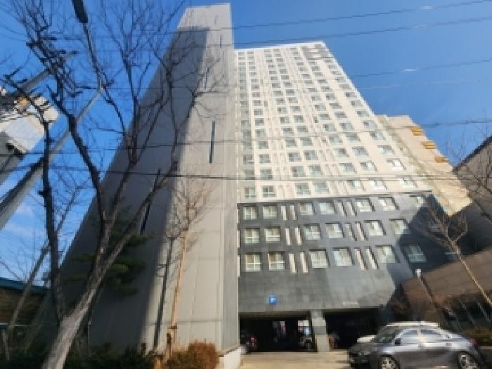 사진 11