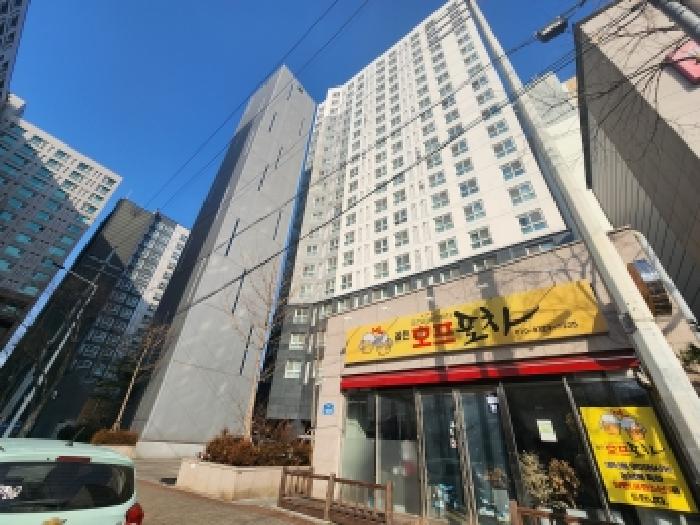사진 12