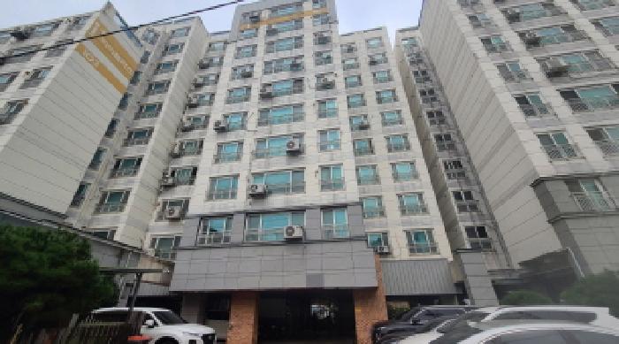 사진 3