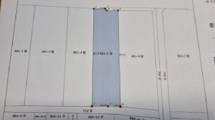사진 5