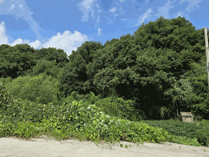 사진 14