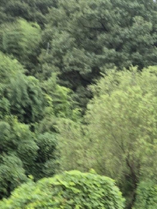 사진 22