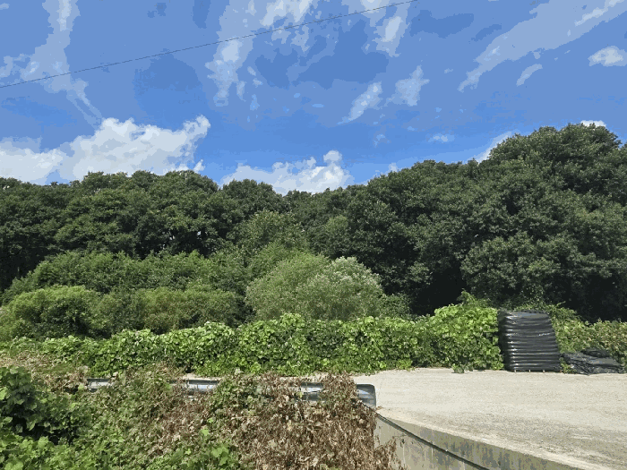 사진 7