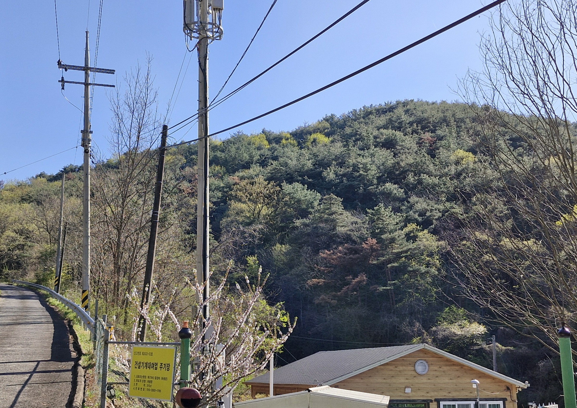 사진 1