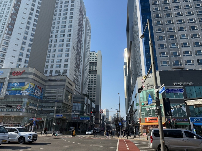 사진 12