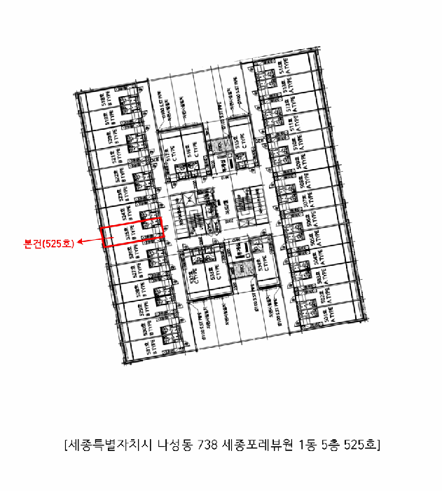 사진 15