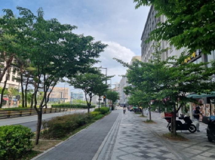 사진 9