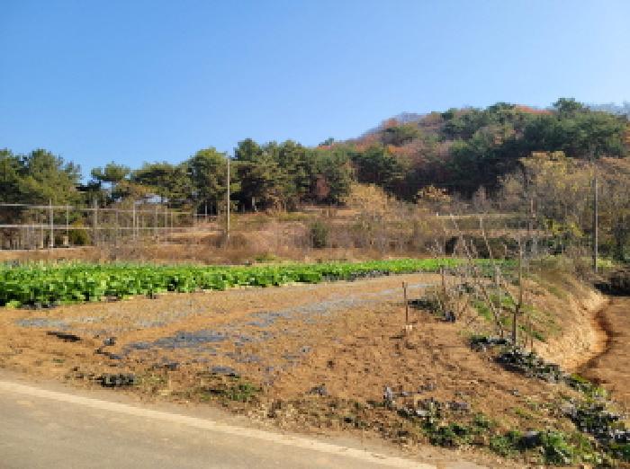 사진 1
