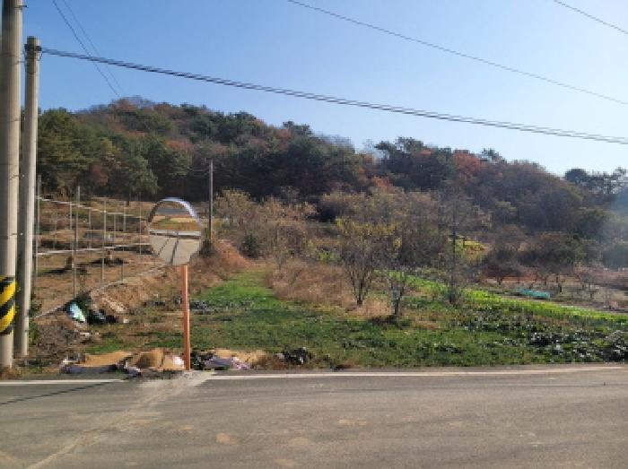 사진 2
