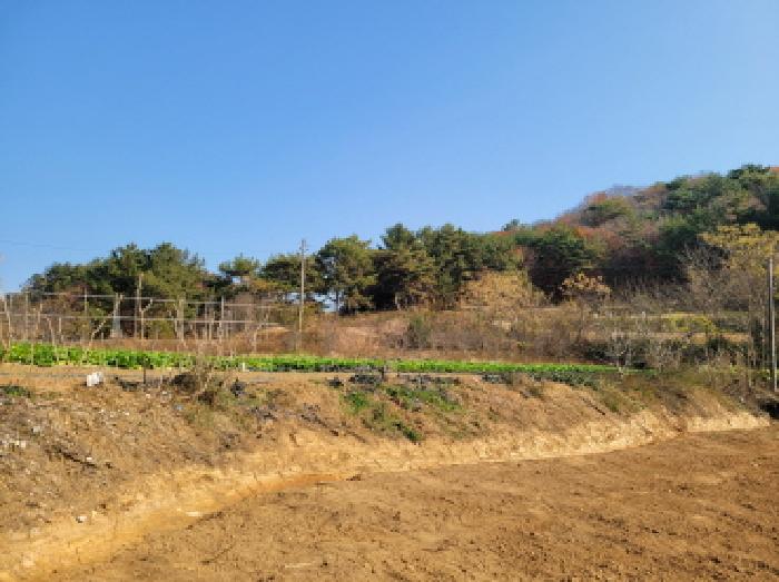 사진 3