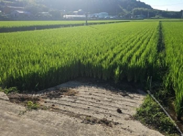 사진 1