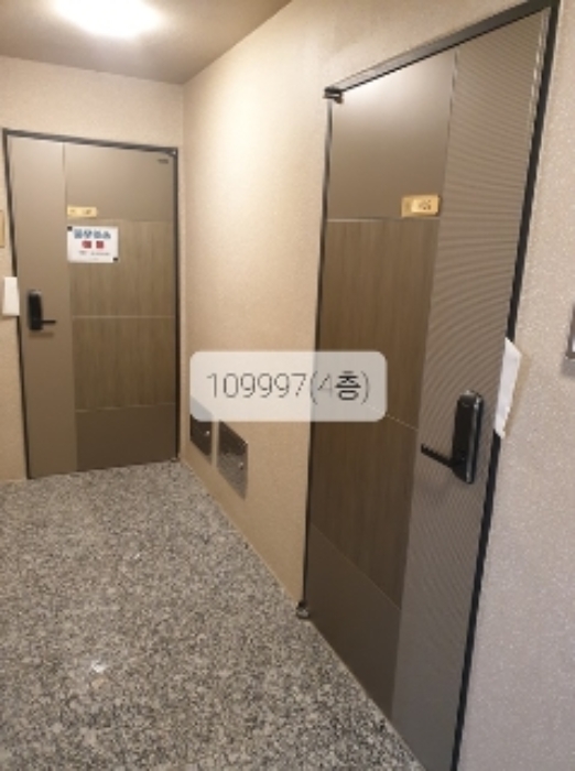 사진 3