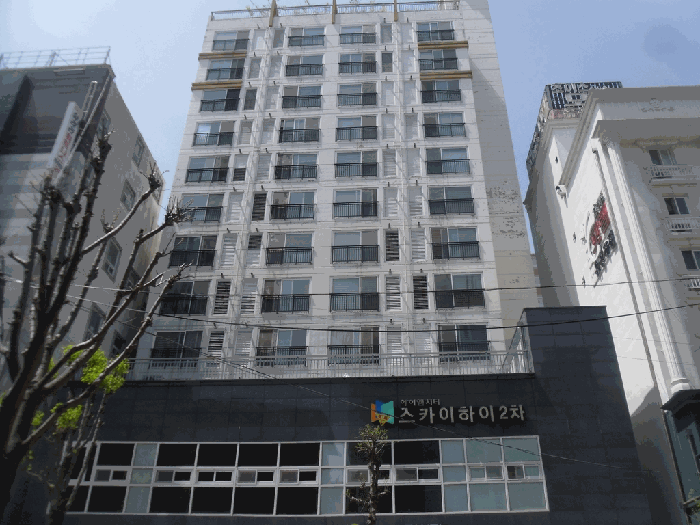 사진 1