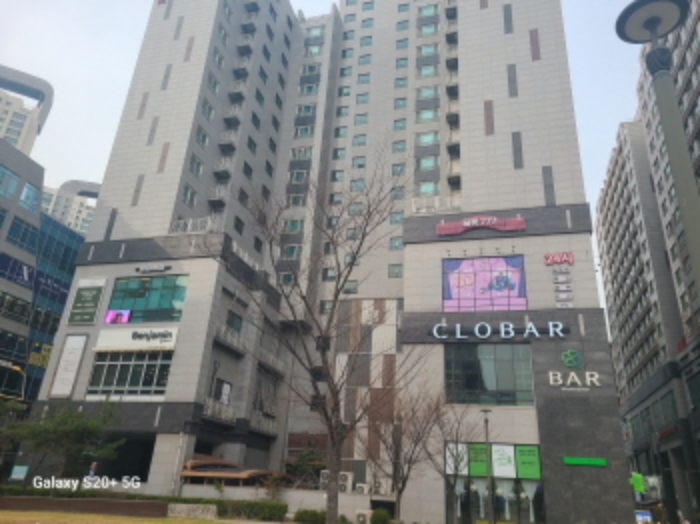 사진 11
