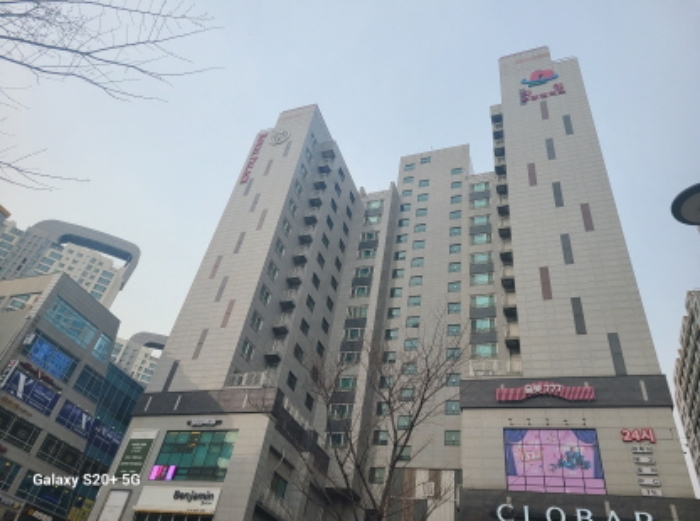 사진 12