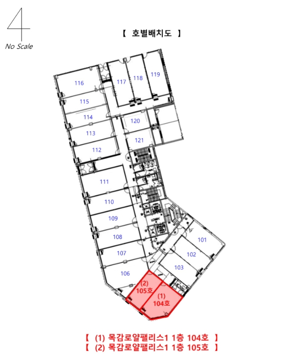 사진 15
