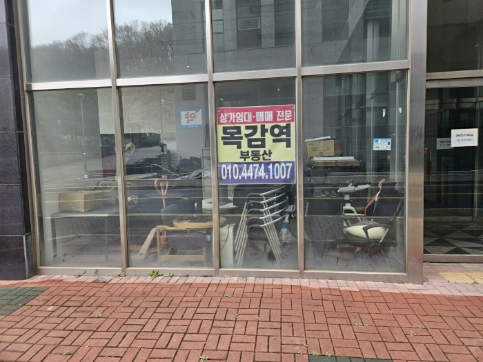 사진 24