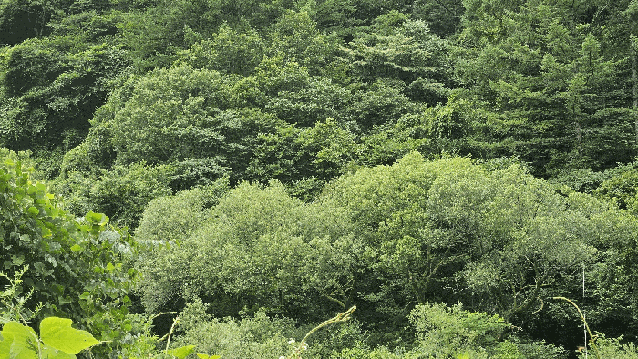 사진 4