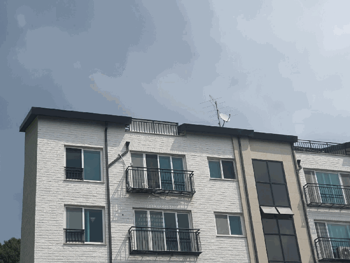 사진 5