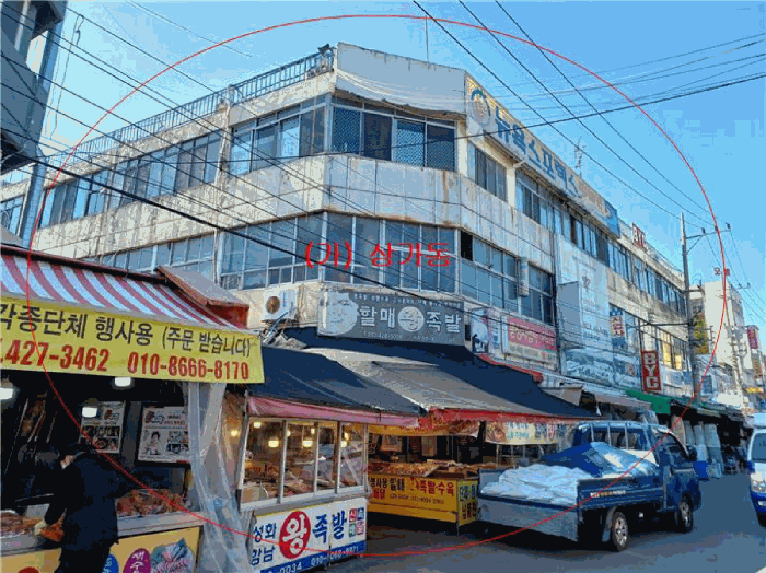 사진 10