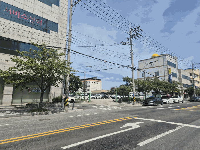 사진 5