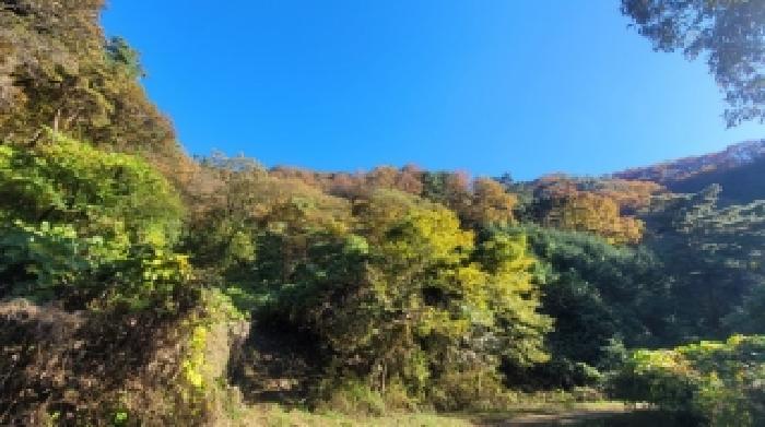 사진 4