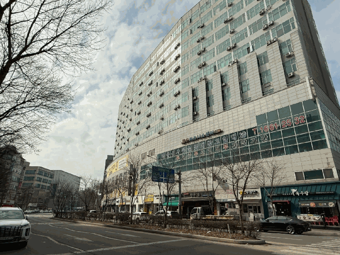 사진 13