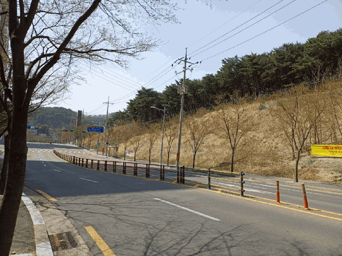 사진 1