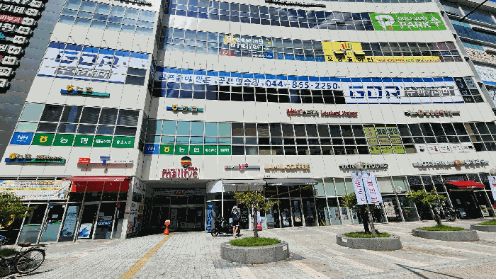 사진 12