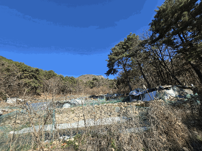 사진 1