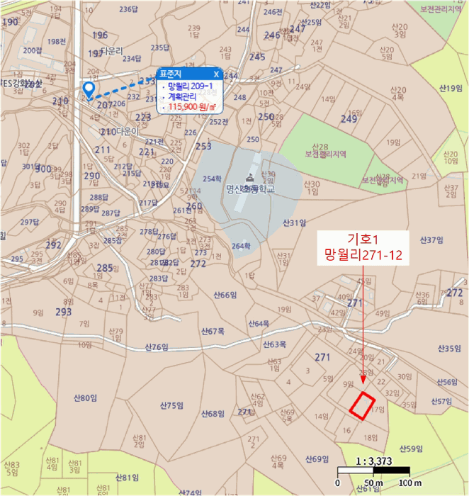 사진 10