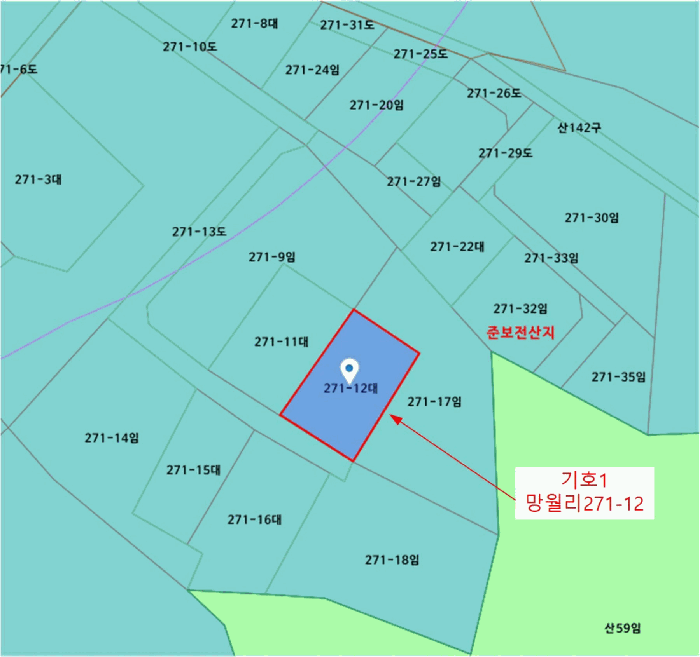 사진 12