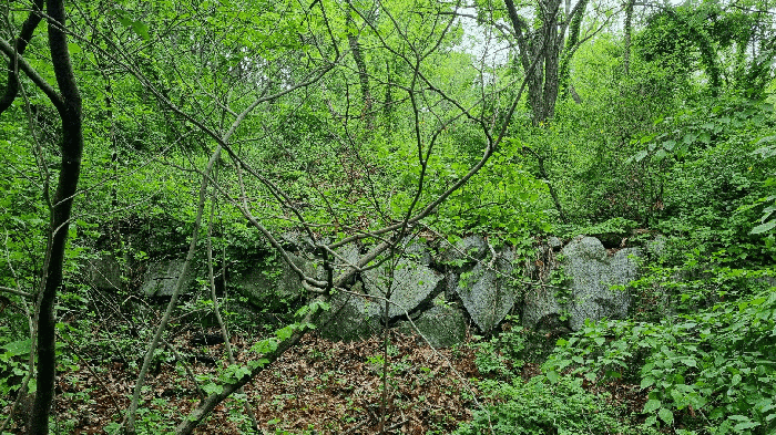 사진 7