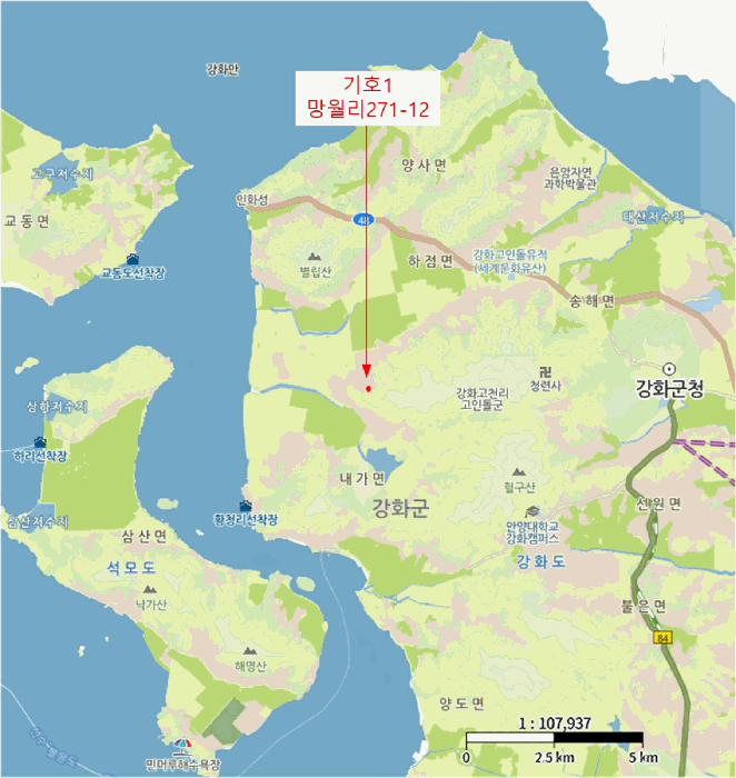 사진 9