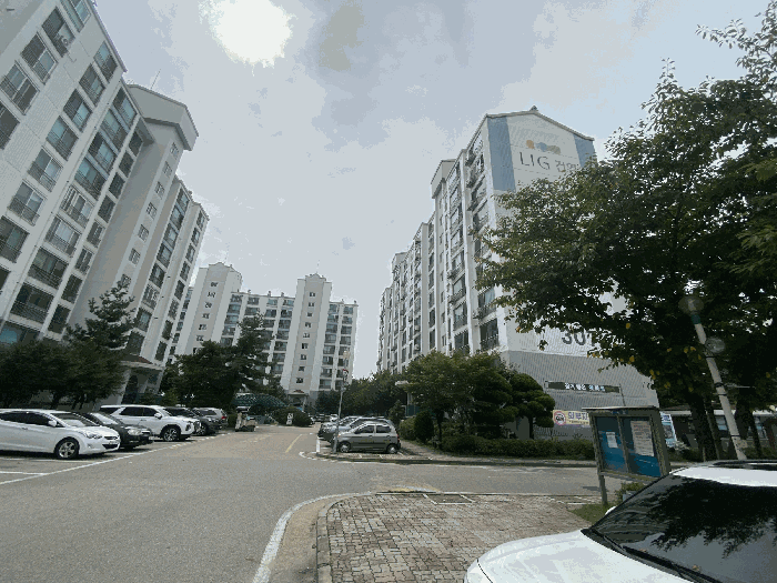 사진 12