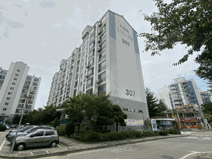 사진 5