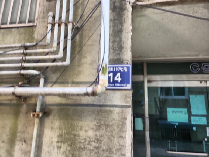 사진 8