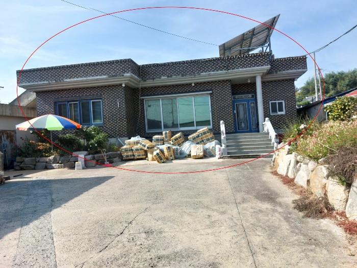 사진 12
