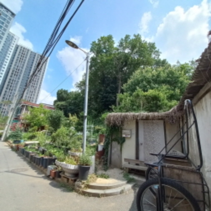 사진 1