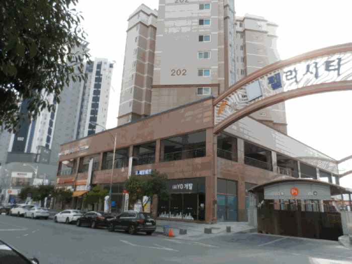 사진 10
