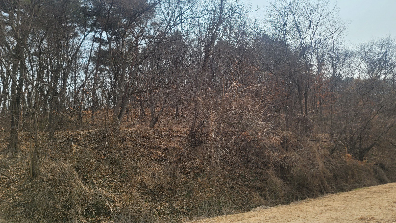 사진 1