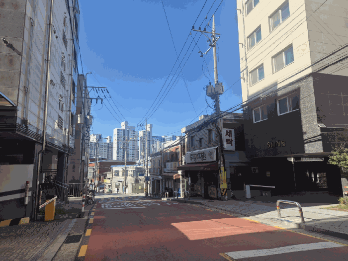 사진 9