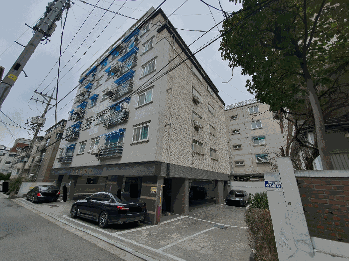 사진 11