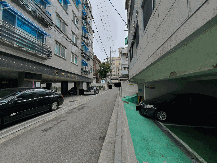 사진 13