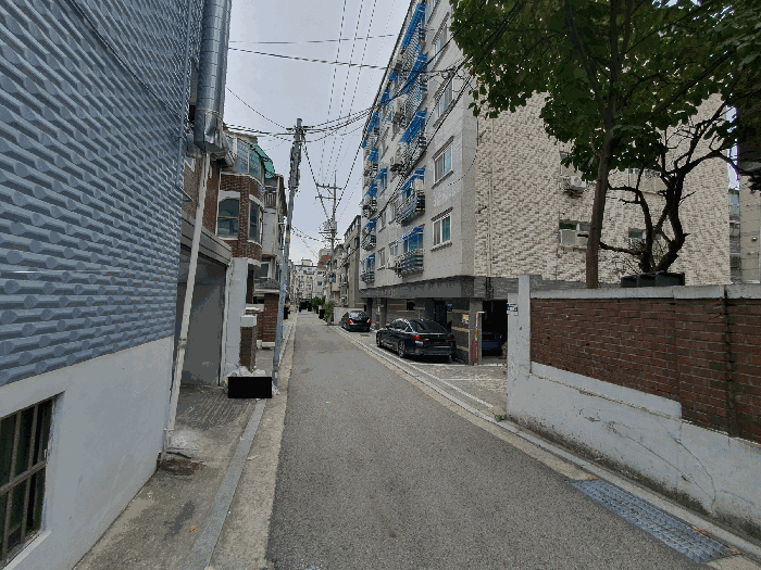 사진 7