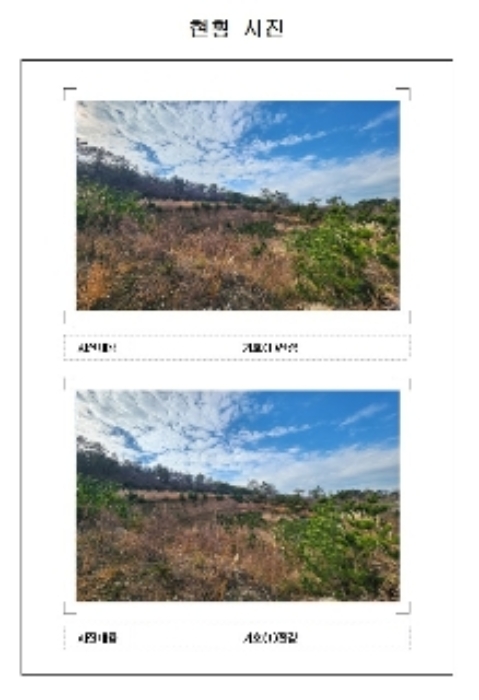 사진 3